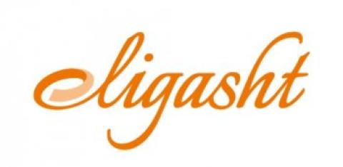 Eligasht Tur Ve Seyahat Acentesi