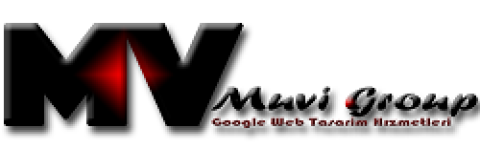 Muvi Group Web Tasarım Hizmetleri